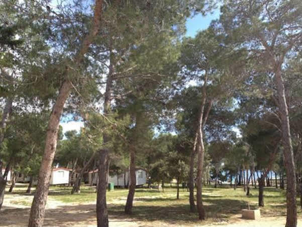 Camp Porat Povljana Exterior photo